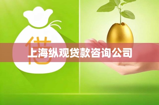 上海纵观贷款咨询公司