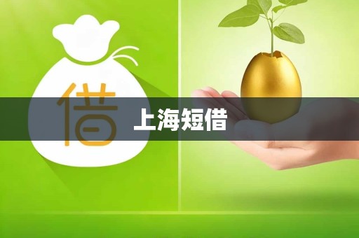 上海短借