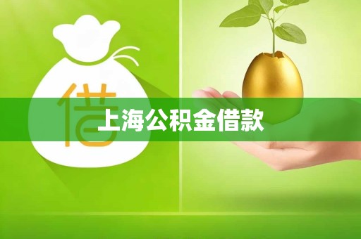 上海公积金借款