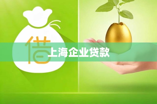 上海企业贷款 上海企业贷款