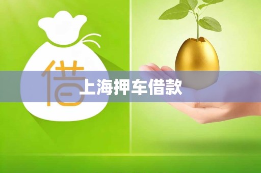 上海押车借款 上海押车借款